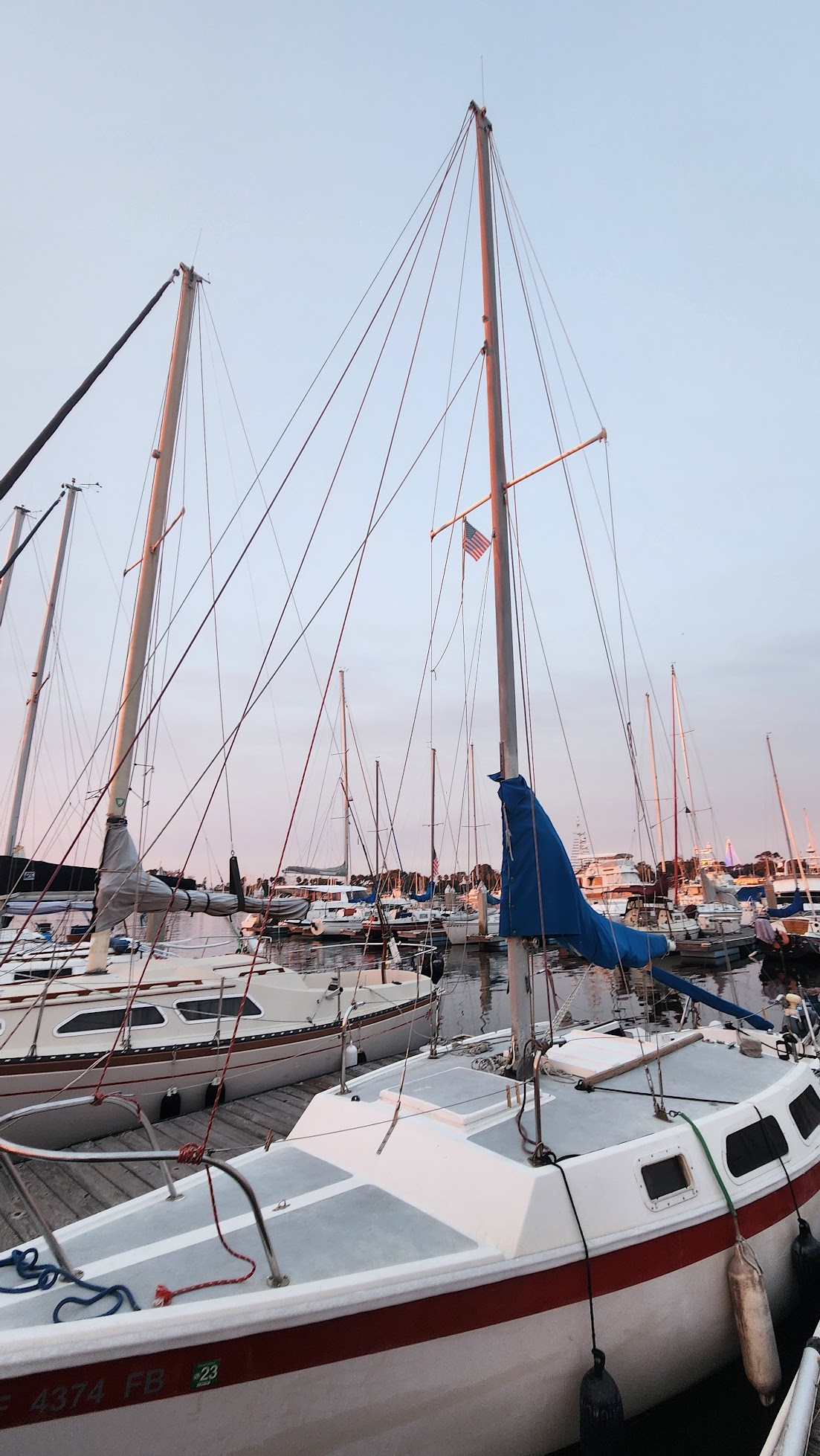 The Cal T/4 beneath marina masts at sunset